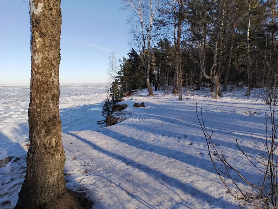 ���������� ���� �������