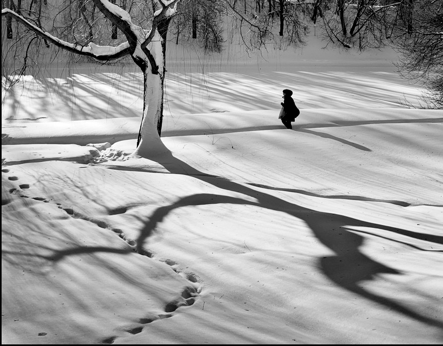 ���������� ...