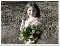Flower with flowers