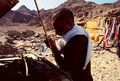 sinai
