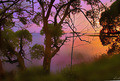 http://www.photoline.ru/photo/1197754317