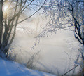http://www.photoline.ru/photo/1198523195