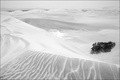 bw nasca 