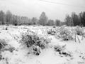 Winter Day