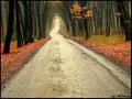 road