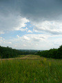 2-