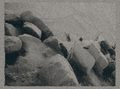 http://www.photoline.ru/photo/1217447708
