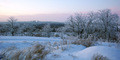 El invierno