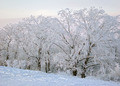 El invierno 