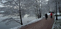  http://www.photoline.ru/photo/1258470858