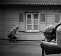   http://www.photoline.ru/photo/1258894397