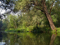 river Skhodnja