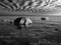 http://www.photoline.ru/photo/1289287537