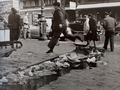 Robert Doisneau