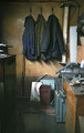 work color )