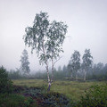 aehr