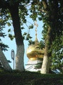 IMGA0610.JPG