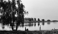   http://www.photoline.ru/photo/1342203142?rzd=