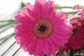 Be happy for this moment - this moment is your life