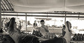  http://www.photoline.ru/photo/1351168453