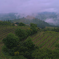 140428- 6454481-82P