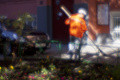 IMG 9827