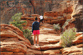 Zion NP 10