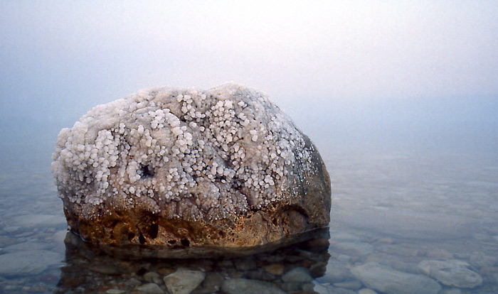  Dead Sea -  .