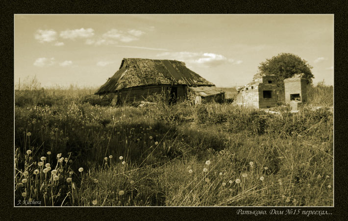 .  N&ordm15 ...
