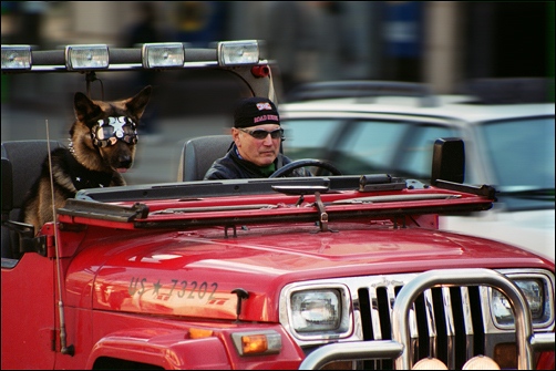  K-9