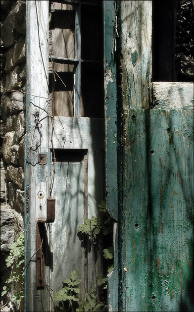 aged