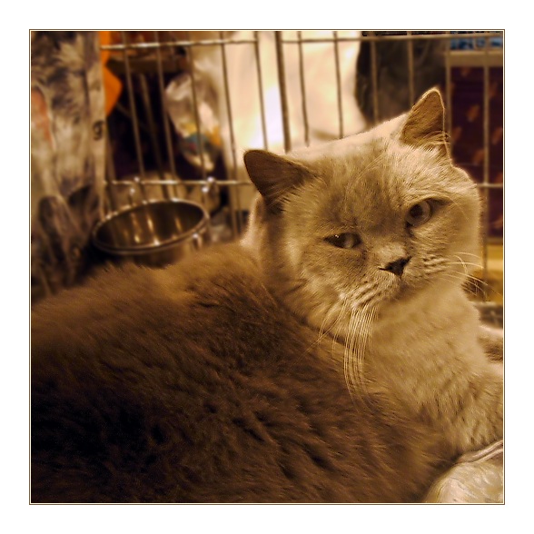 04