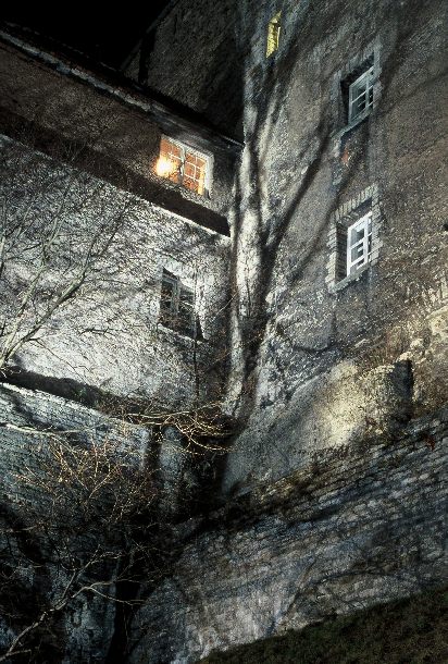  Domberg [picture #2]