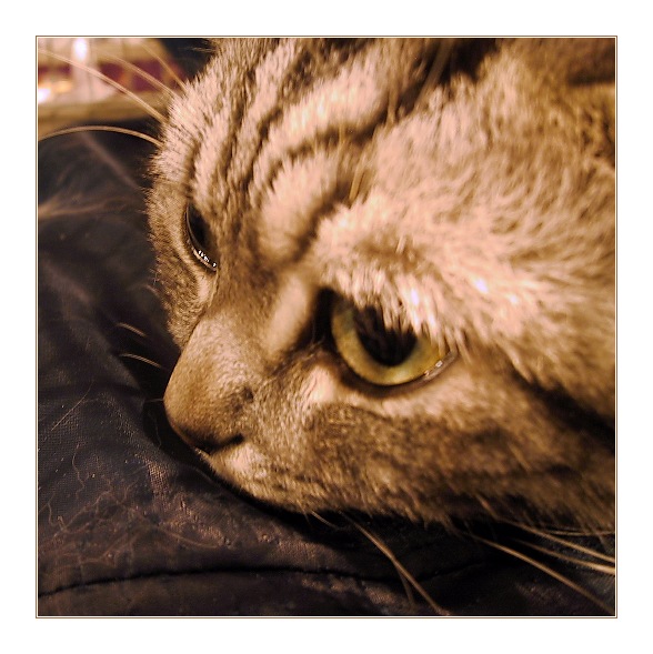  27