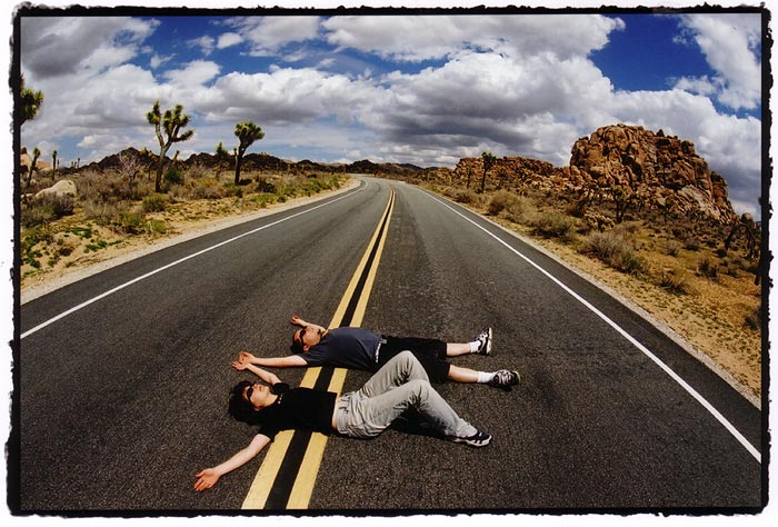  Roadkill