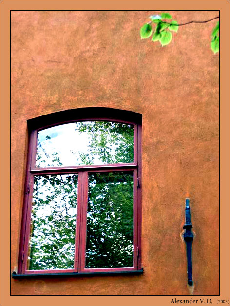   (nr. 6)
