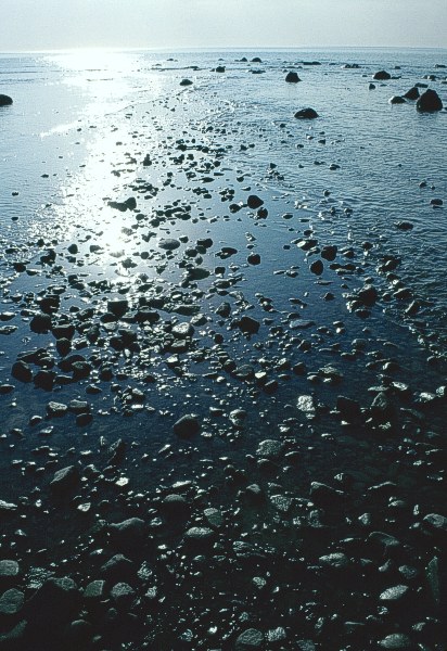  stones at Paljassaare #3