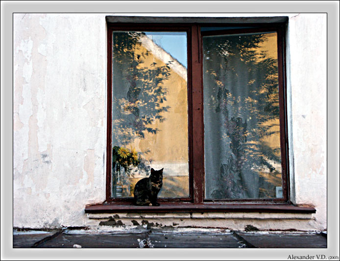   (nr. 15  )