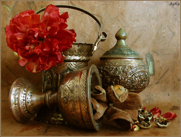  nature Morte