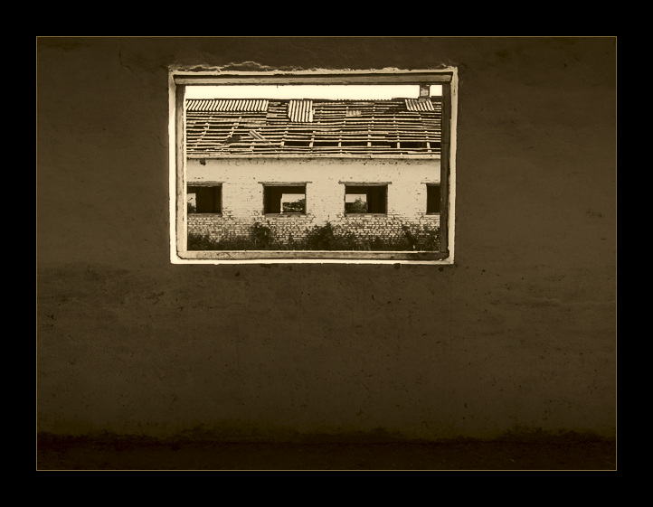   Windows 