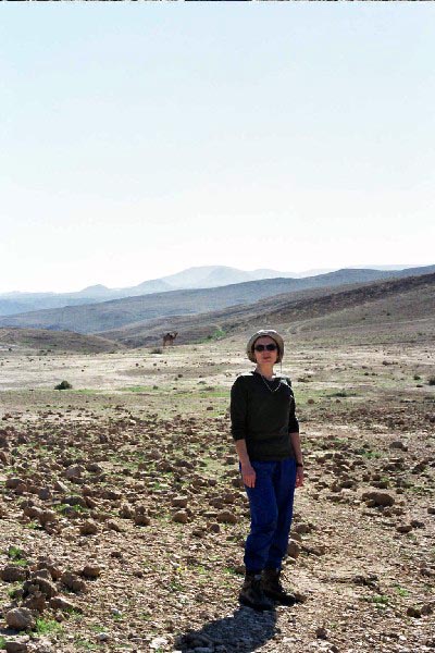   , 2003