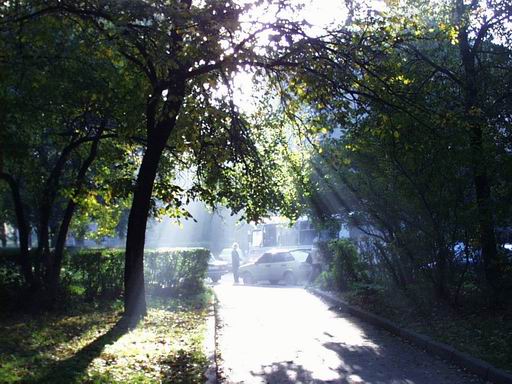  Morning Sunlight