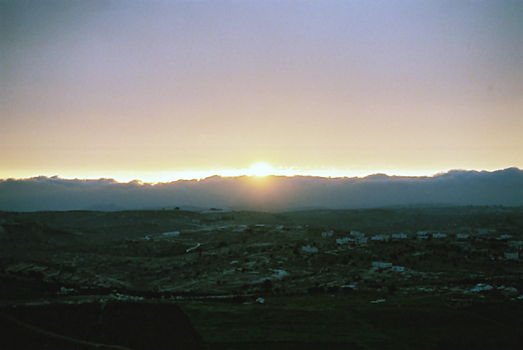  aa