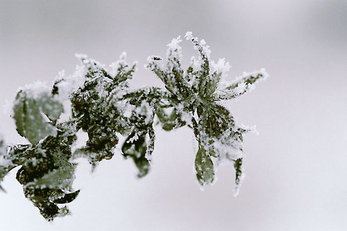  FRAGILE