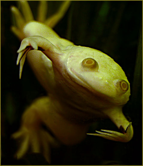  , !   !