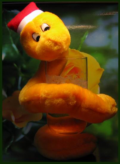  ţ
