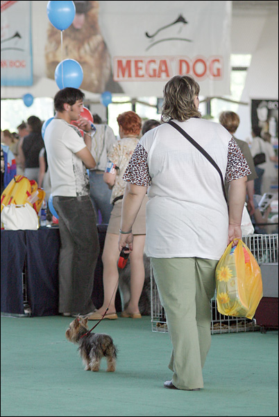  Mega Dog