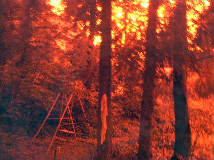   No0