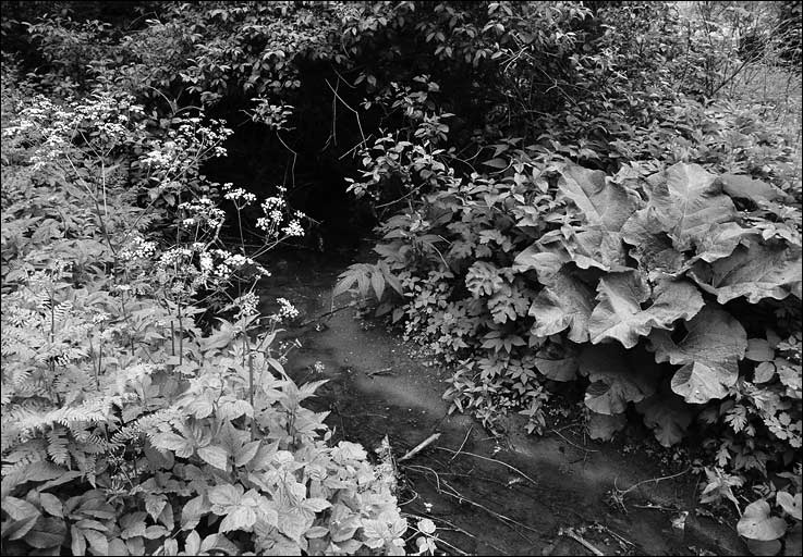    II