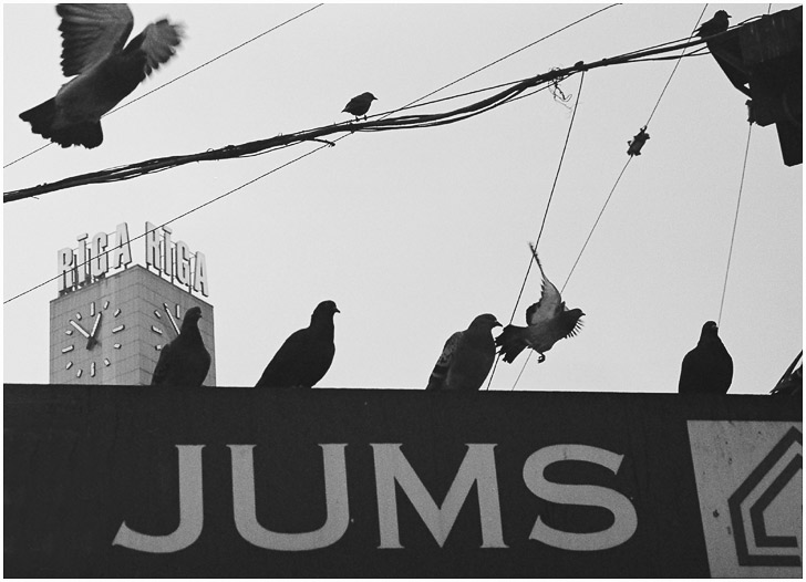     (Riga Jums)